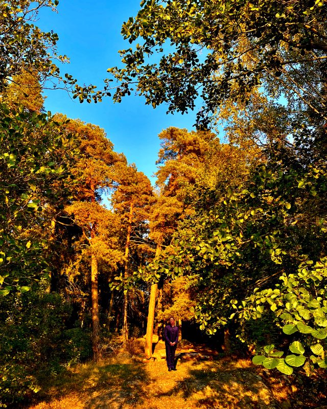 Jean-Pierre BRUSTIER Picture